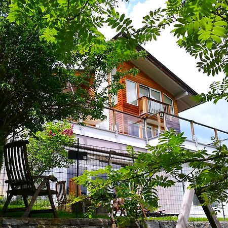 Ferienwohnung Hoellwart - Exclusiv, Ruhige Lage, Panoramablick Bischofshofen Extérieur photo