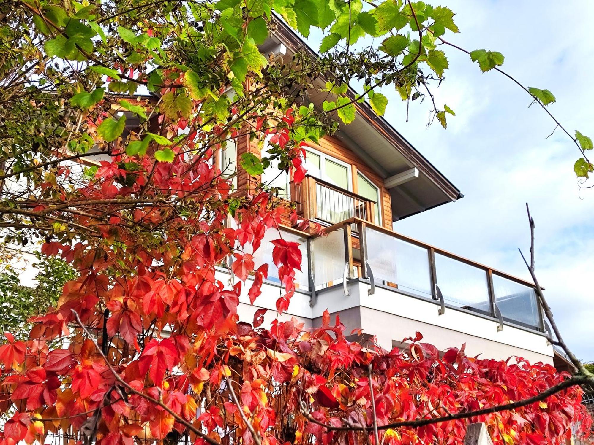 Ferienwohnung Hoellwart - Exclusiv, Ruhige Lage, Panoramablick Bischofshofen Extérieur photo